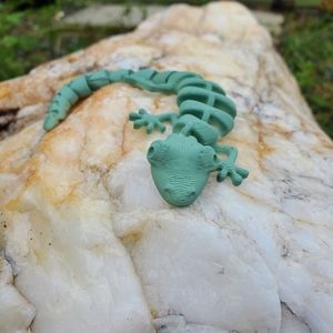 Articulated lizard